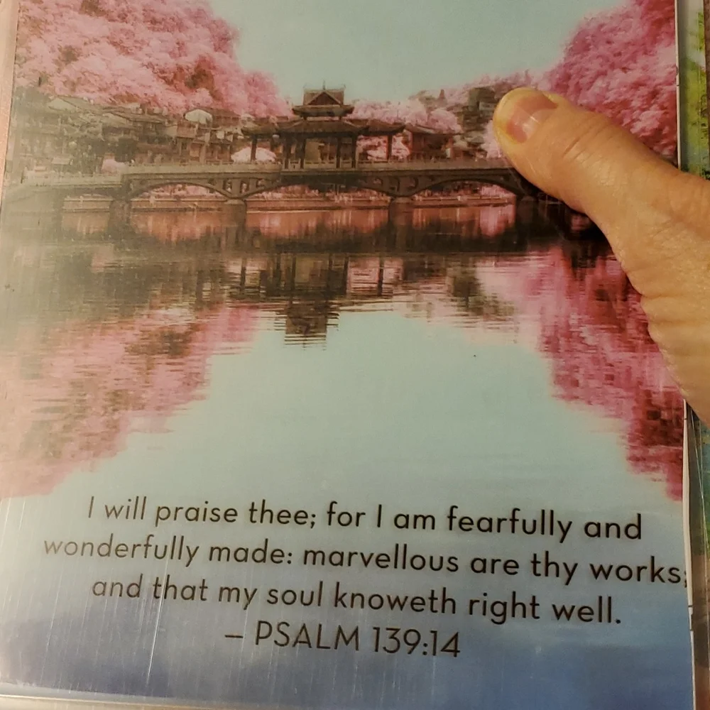 Hand Made Cover For A classic size Disc Bound Planner Psalm 139:14 Asian scenery